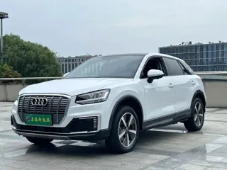 Audi Q2L e-tron 2021