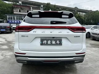 Haval H6 2024 купить из Китая, цена 1 529 000 ₽ — Suifenhe Auto