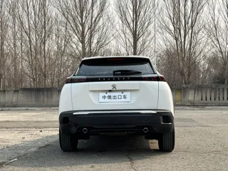 Peugeot 2008 2022 купить из Китая, цена 1 335 000 ₽ — Suifenhe Auto