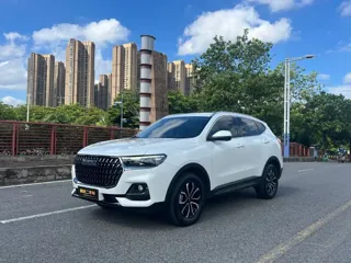 Haval H6 2024 купить из Китая, цена 1 568 000 ₽ — Suifenhe Auto