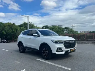 Haval H6 2024 купить из Китая, цена 1 568 000 ₽ — Suifenhe Auto