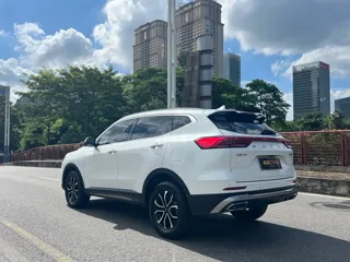 Haval H6 2024 купить из Китая, цена 1 568 000 ₽ — Suifenhe Auto