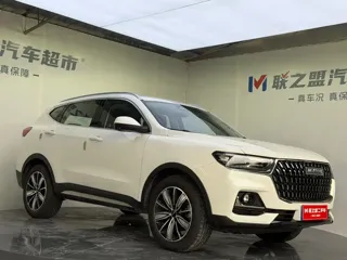 Haval H6 2023 купить из Китая, цена 1 731 000 ₽ — Suifenhe Auto