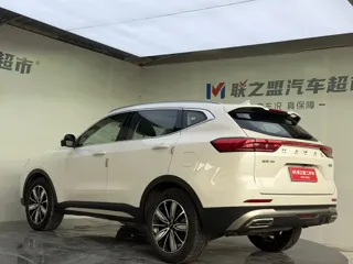 Haval H6 2023 купить из Китая, цена 1 731 000 ₽ — Suifenhe Auto