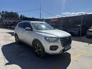 Haval H6 2021 купить из Китая, цена 1 487 000 ₽ — Suifenhe Auto