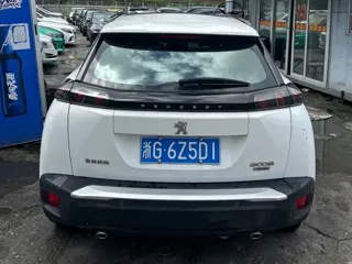 Peugeot 2008 2020 купить из Китая, цена 1 196 000 ₽ — Suifenhe Auto