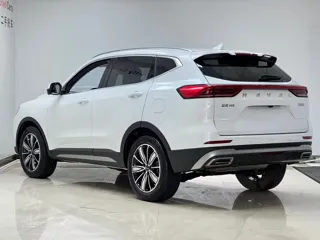 Haval H6 2023 купить из Китая, цена 1 692 000 ₽ — Suifenhe Auto
