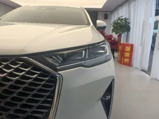 Haval H6 2024 купить из Китая, цена 2 556 000 ₽ — Suifenhe Auto