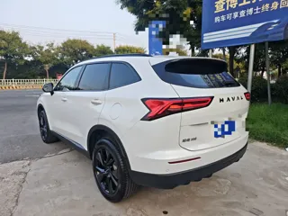 Haval H6 2024 купить из Китая, цена 2 635 000 ₽ — Suifenhe Auto