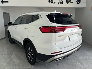 Haval H6 2024 купить из Китая, цена 1 929 000 ₽ — Suifenhe Auto