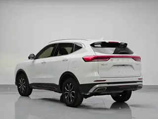 Haval H6 2023 купить из Китая, цена 1 527 000 ₽ — Suifenhe Auto