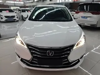 Changan DT 2020 купить из Китая, цена 1 156 000 ₽ — Suifenhe Auto