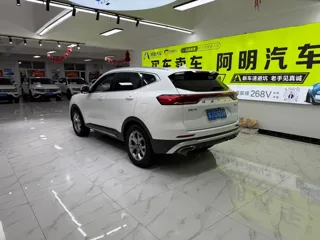 Haval H6 2022 купить из Китая, цена 1 462 000 ₽ — Suifenhe Auto