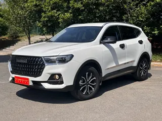 Haval H6 2023 купить из Китая, цена 1 504 000 ₽ — Suifenhe Auto