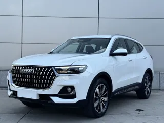 Haval H6 2023 купить из Китая, цена 1 705 000 ₽ — Suifenhe Auto
