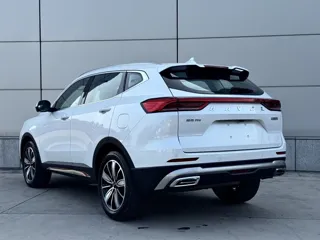 Haval H6 2023 купить из Китая, цена 1 705 000 ₽ — Suifenhe Auto
