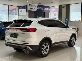 Haval H6 2022 купить из Китая, цена 1 579 000 ₽ — Suifenhe Auto