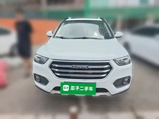 Haval H6 2020 купить из Китая, цена 1 311 000 ₽ — Suifenhe Auto