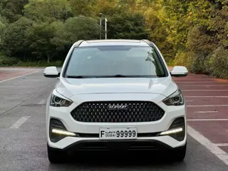Haval M6 2020 купить из Китая, цена 1 144 000 ₽ — Suifenhe Auto