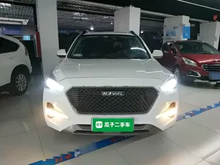 Haval M6 2019 купить из Китая, цена 1 131 000 ₽ — Suifenhe Auto