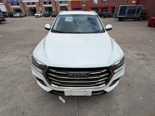 Haval H6 2022 купить из Китая, цена 1 527 000 ₽ — Suifenhe Auto
