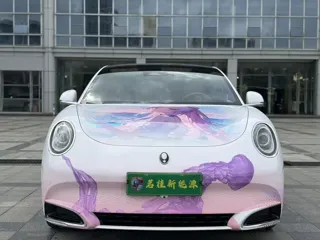 ORA Lightning Cat 2023 купить из Китая, цена 3 600 000 ₽ — Suifenhe Auto