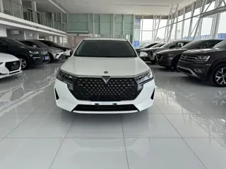 Venucia D60 2021 купить из Китая, цена 1 148 000 ₽ — Suifenhe Auto