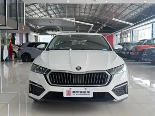 Skoda Octavia 2023 купить из Китая, цена 2 470 000 ₽ — Suifenhe Auto