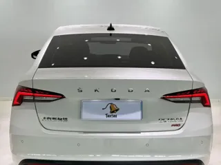 Skoda Octavia 2023 купить из Китая, цена 2 456 000 ₽ — Suifenhe Auto