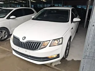 Skoda Octavia 2019 купить из Китая, цена 1 319 000 ₽ — Suifenhe Auto