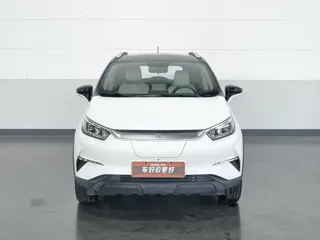 BYD Yuan Pro 2021 купить из Китая, цена 1 221 000 ₽ — Suifenhe Auto