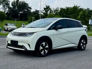 BYD Dolphin 2024 купить из Китая, цена 1 710 000 ₽ — Suifenhe Auto