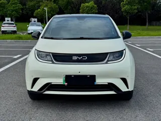 BYD Dolphin 2024 купить из Китая, цена 1 710 000 ₽ — Suifenhe Auto