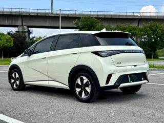 BYD Dolphin 2024 купить из Китая, цена 1 710 000 ₽ — Suifenhe Auto