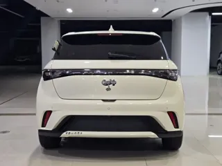 BYD Dolphin 2023 купить из Китая, цена 1 361 000 ₽ — Suifenhe Auto