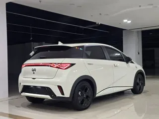 BYD Dolphin 2023 купить из Китая, цена 1 361 000 ₽ — Suifenhe Auto