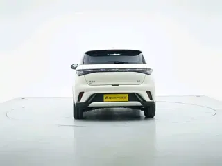 BYD Dolphin 2026 купить из Китая, цена 1 712 000 ₽ — Suifenhe Auto