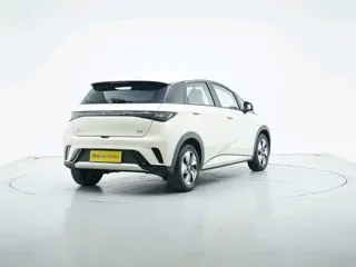 BYD Dolphin 2026 купить из Китая, цена 1 712 000 ₽ — Suifenhe Auto