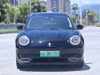 ORA Good Cat 2021 купить из Китая, цена 1 203 000 ₽ — Suifenhe Auto