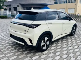 BYD Dolphin 2023 купить из Китая, цена 1 267 000 ₽ — Suifenhe Auto
