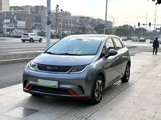 BYD Dolphin 2022 купить из Китая, цена 1 416 000 ₽ — Suifenhe Auto