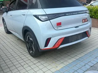 BYD Dolphin 2022 купить из Китая, цена 1 416 000 ₽ — Suifenhe Auto