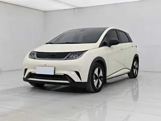 BYD Dolphin 2023 купить из Китая, цена 1 477 000 ₽ — Suifenhe Auto