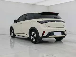 BYD Dolphin 2023 купить из Китая, цена 1 477 000 ₽ — Suifenhe Auto