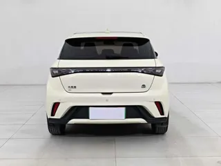 BYD Dolphin 2023 купить из Китая, цена 1 477 000 ₽ — Suifenhe Auto