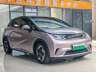 BYD Dolphin 2022 купить из Китая, цена 1 439 000 ₽ — Suifenhe Auto