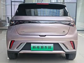 BYD Dolphin 2022 купить из Китая, цена 1 439 000 ₽ — Suifenhe Auto