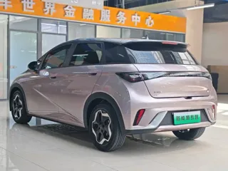 BYD Dolphin 2022 купить из Китая, цена 1 439 000 ₽ — Suifenhe Auto