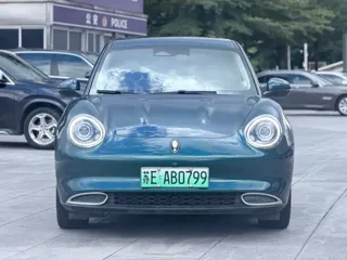 ORA Good Cat 2021 купить из Китая, цена 1 212 000 ₽ — Suifenhe Auto