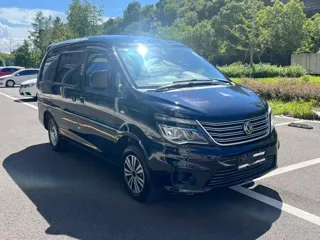 Dongfeng Fengxing Lingzhi 2020 купить из Китая, цена 1 117 000 ₽ — Suifenhe Auto